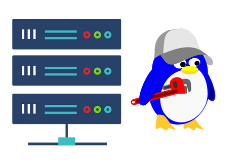 Reliable Linux VPS Hosting at SingleNS